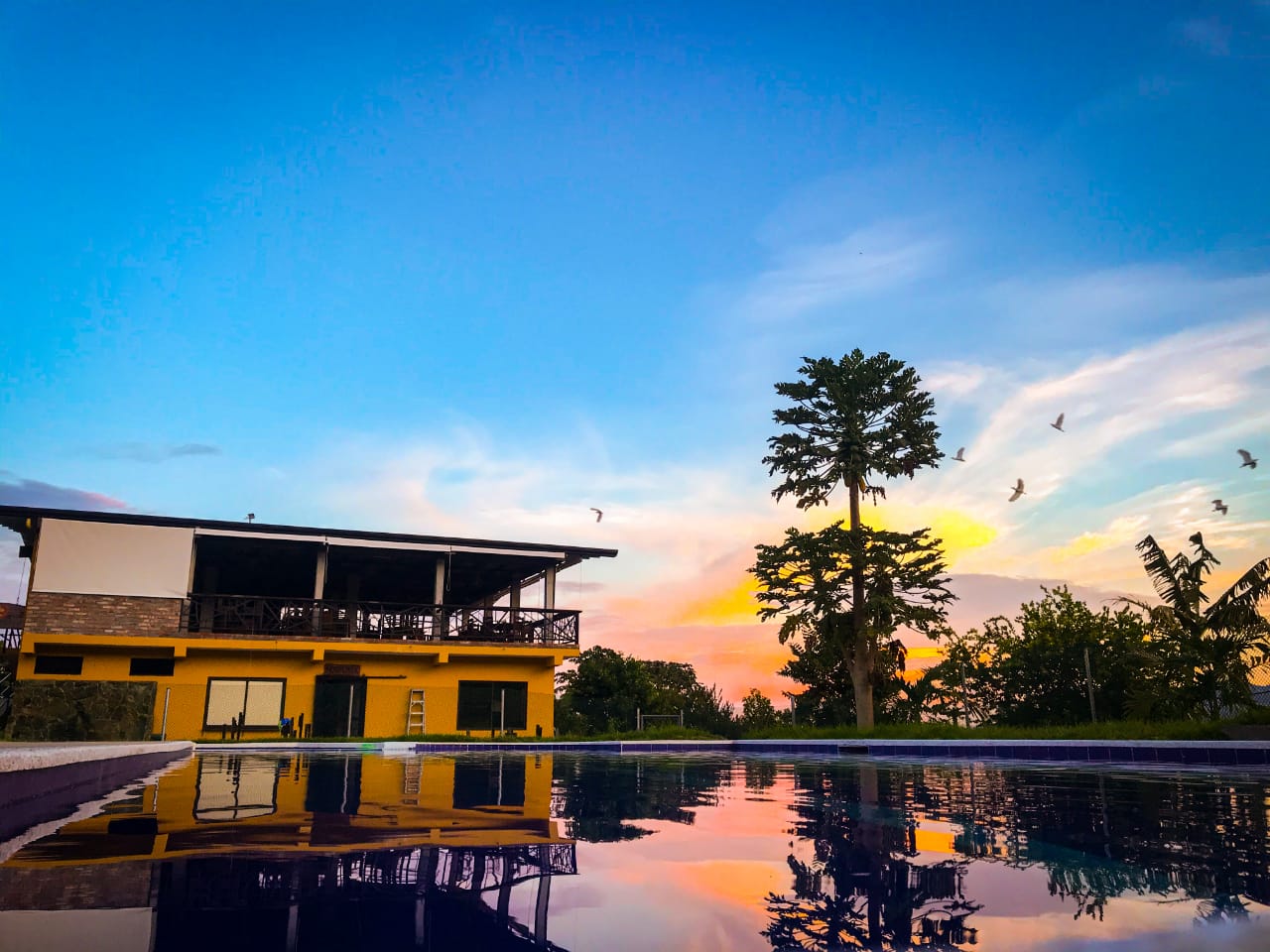 473318559_1162722148547609_8741464738921165349_n